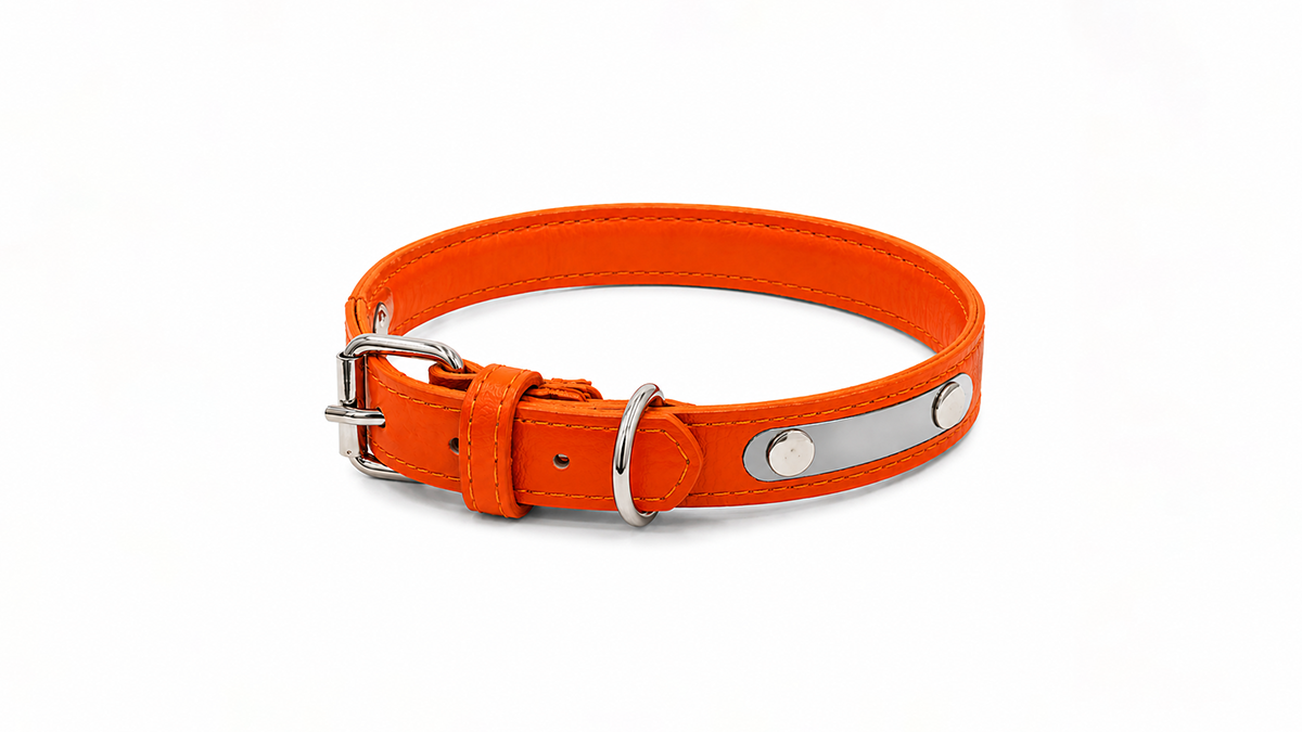 Stylový obojek pro psy s kovovým designem béžový oranžový